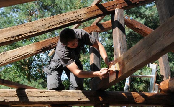 old-wood-beams-protection