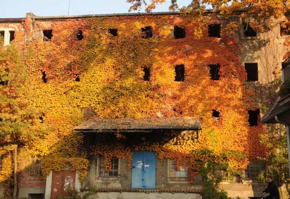 nature-and-architecture