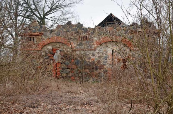 stone-ruin-in-forest-europe