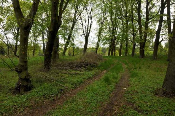 deutsch-wartenberg-friedhof