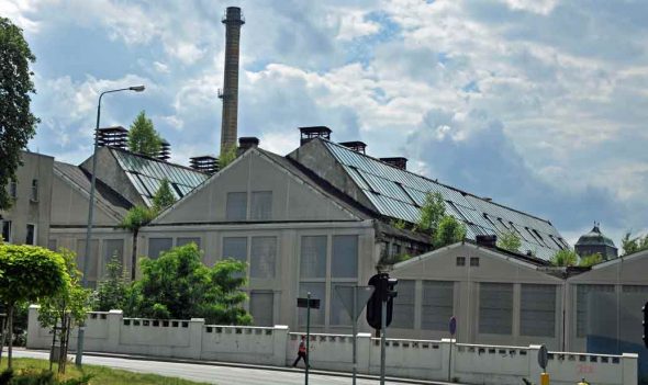 trees-on-the-roof